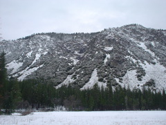 DSC02487.JPG