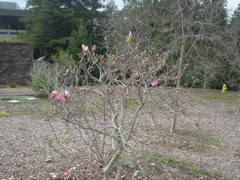 DSC02492.JPG