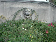 DSC02493.JPG