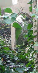 DSC02507.JPG