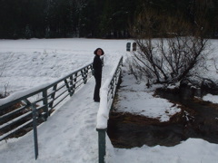 DSC02440.JPG