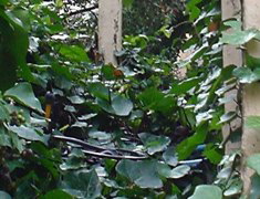 DSC02508.JPG