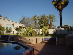 DSC02542.JPG