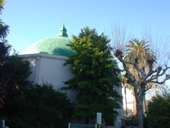 DSC02544.JPG