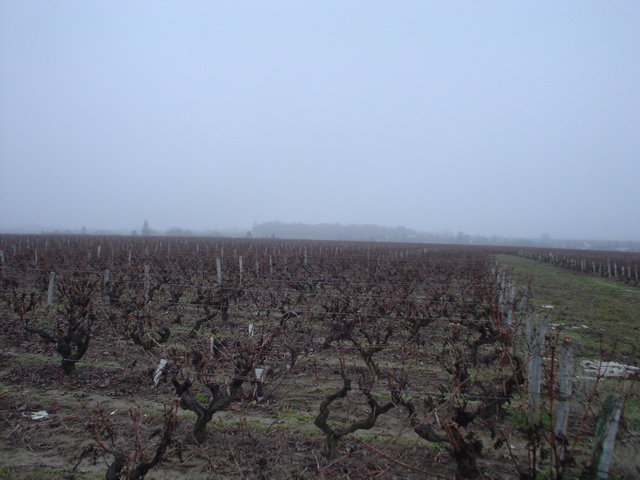 DSC03970.JPG