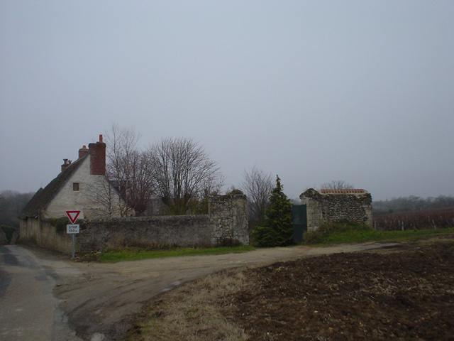 DSC03979.JPG