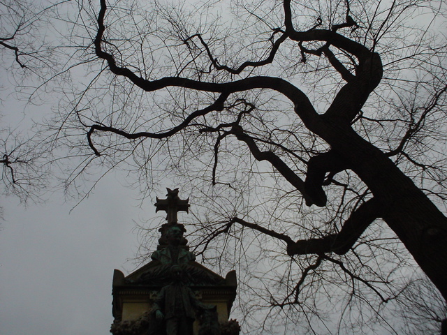 DSC04022.JPG