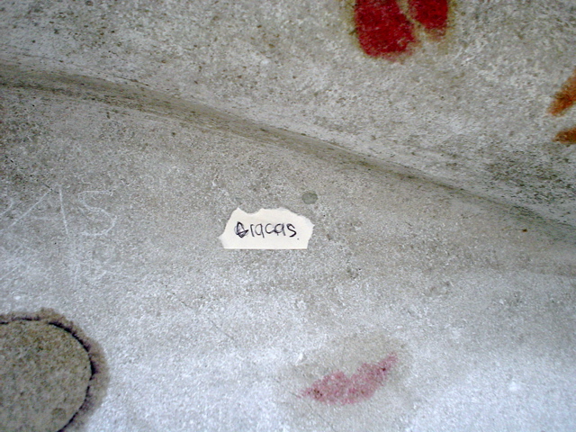 DSC04025.JPG