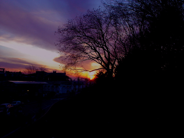 DSC04042.JPG