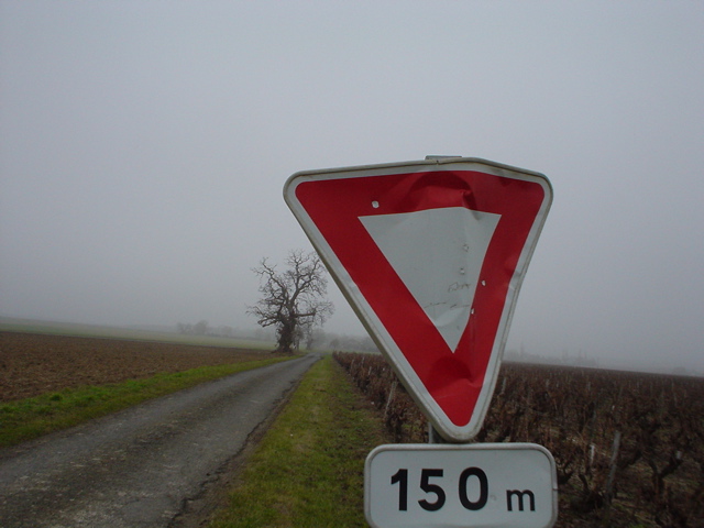 DSC03969.JPG