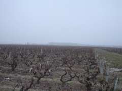 DSC03970.JPG