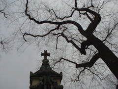 DSC04022.JPG