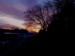 DSC04042.JPG