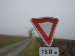 DSC03969.JPG