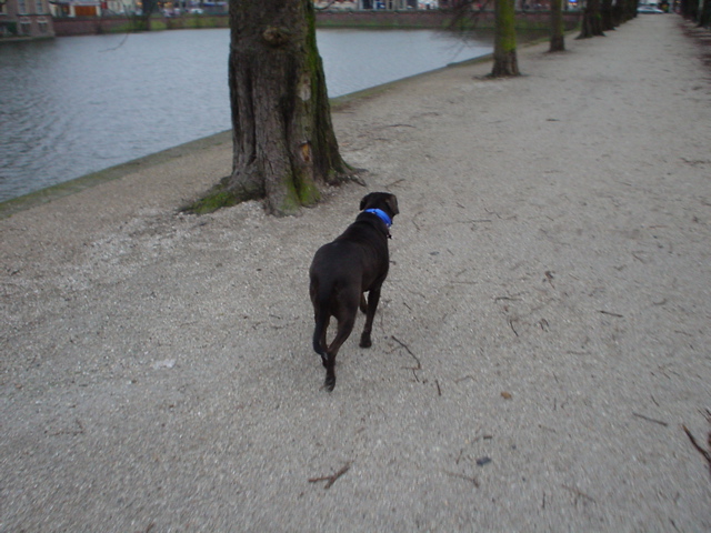 DSC05591.JPG
