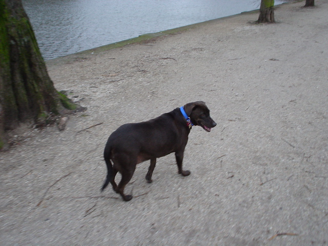 DSC05592.JPG