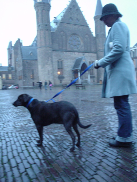 DSC05596.JPG