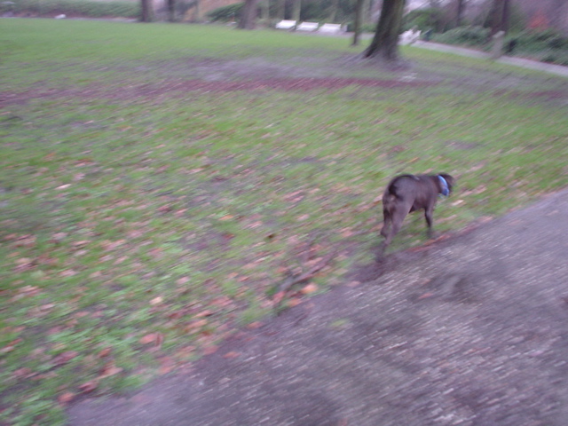DSC05598.JPG