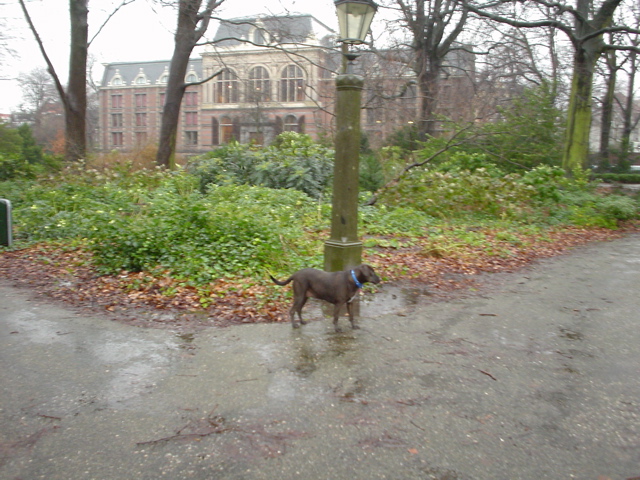 DSC05599.JPG