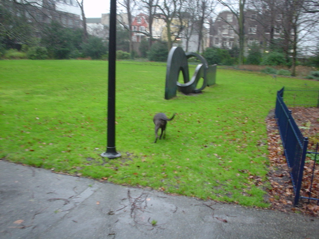 DSC05601.JPG