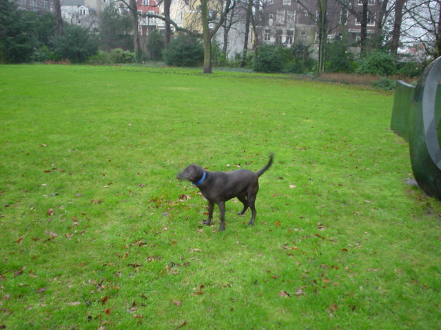 DSC05602.JPG