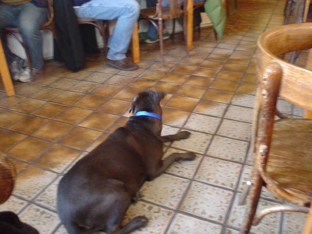DSC05614.JPG