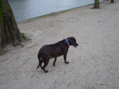 DSC05592.JPG