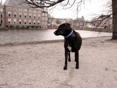 DSC05593.JPG
