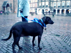 DSC05595.JPG