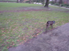 DSC05598.JPG