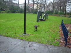 DSC05601.JPG
