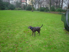 DSC05602.JPG