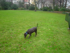 DSC05603.JPG