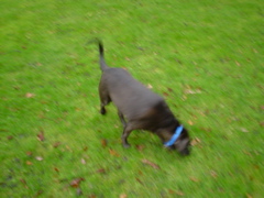 DSC05604.JPG