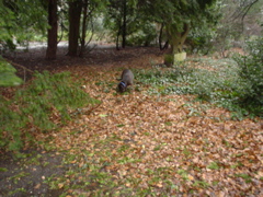 DSC05605.JPG