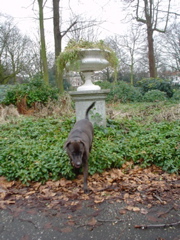 DSC05625.JPG
