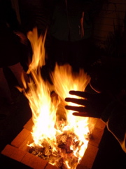 DSC05578.JPG