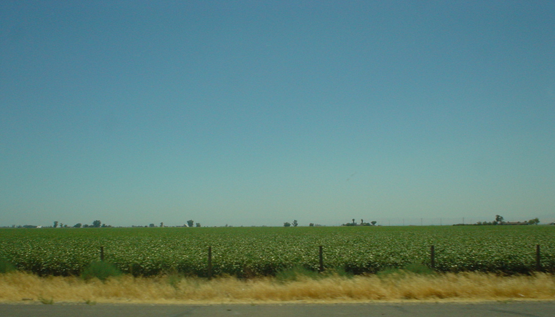DSC01230.JPG