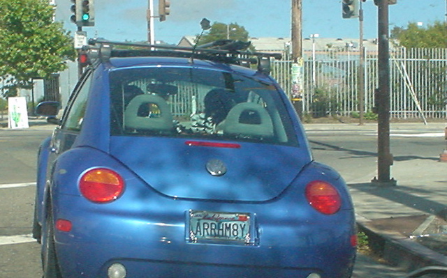 DSC03311.JPG
