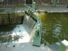 DSC04895.JPG