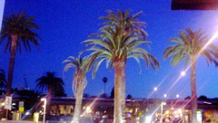DSC01007.JPG
