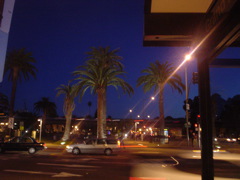 DSC01008.JPG