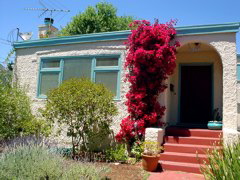 DSC00893.JPG