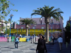 DSC00895.JPG