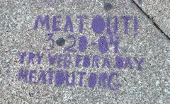 DSC00900.JPG