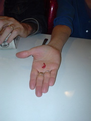 DSC00920.JPG