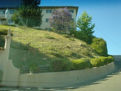 DSC00862.JPG