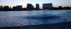 DSC00942.JPG
