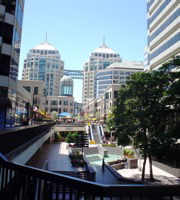 DSC00947.JPG