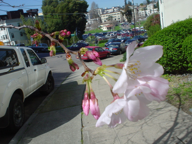 DSC02687.JPG